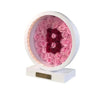 Alphabet Customized Personalized Rose Lamp
