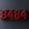 Angel Number 8484 Rose Box - Imaginary Worlds