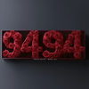Angel Number 9494 Rose Box - Imaginary Worlds