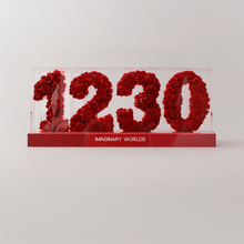 Capricorn 1230 Rose Box – Ambition and Success - Imaginary Worlds