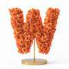 Windsor Orange Rose Letter W Lamp - Imaginary Worlds