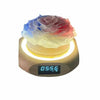 360° Rotating Lighted Rose Speaker - Imaginary Worlds