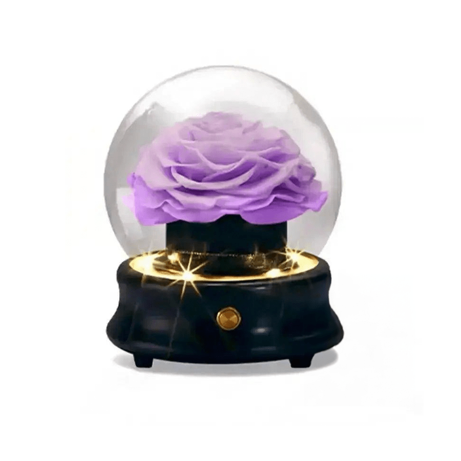 Purple Roses in Acrylic Box Collection