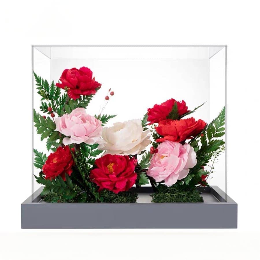 Eternal Peony Grace - Imaginary Worlds