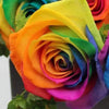 Radiant Love Rose Ensemble - Imaginary Worlds